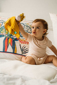 Accessories and other products